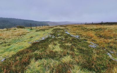 Wheeldale Roman Road