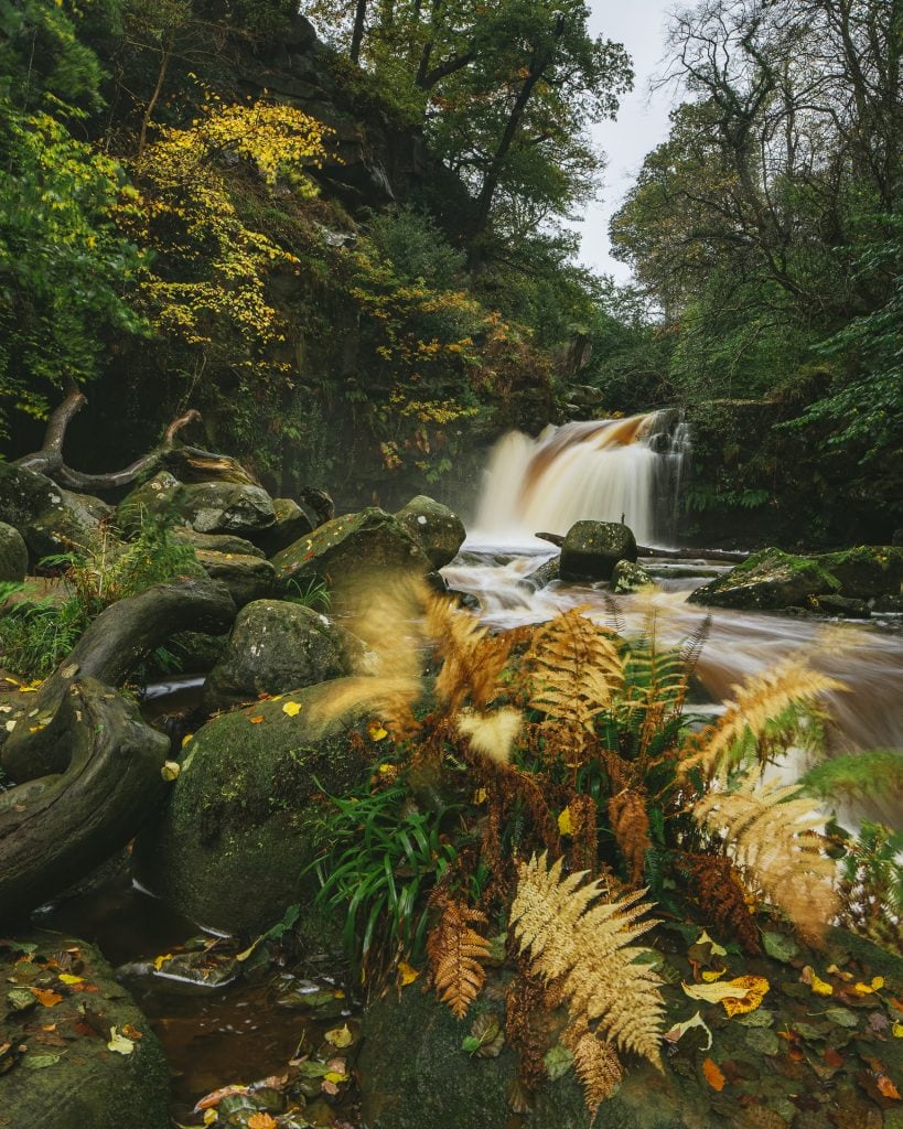 Autumn, Thomason Foss, North Yorkshire Moors National Park, holiday cottages, self catering, holiday cottages in yorkshire