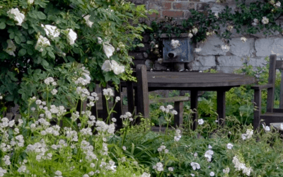 Jackson’s Wold Garden