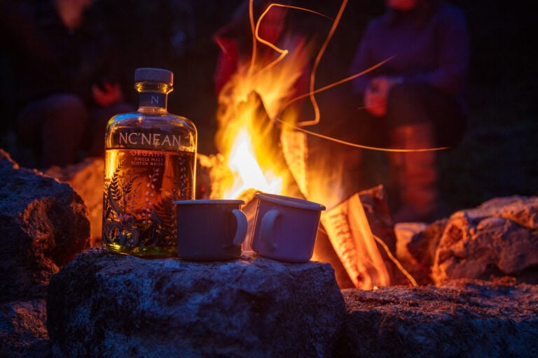 camp fire, outdoor fire, fire pit, woodland fire, gathering with friends, outside, woodland, yorkshire, time with friends, firepit