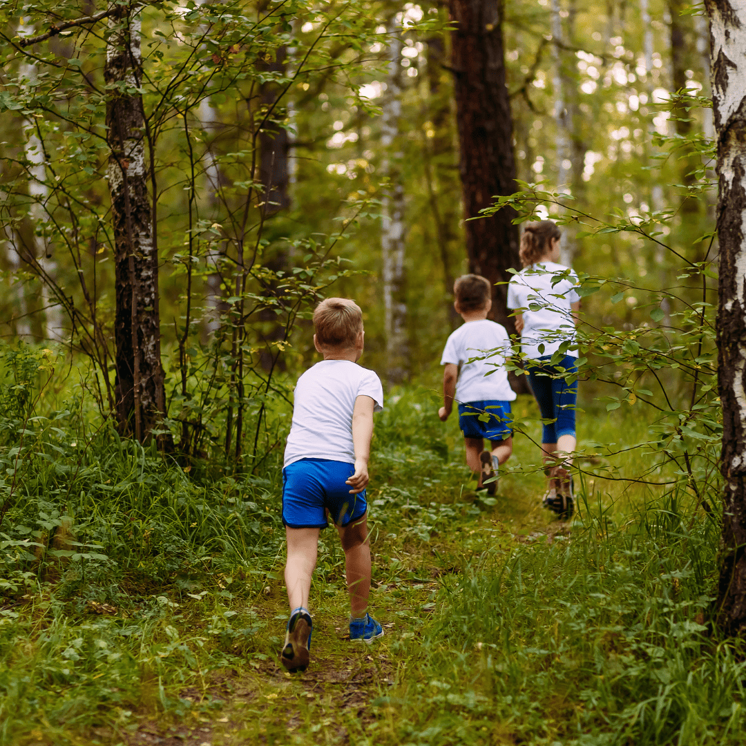 Children in wood land