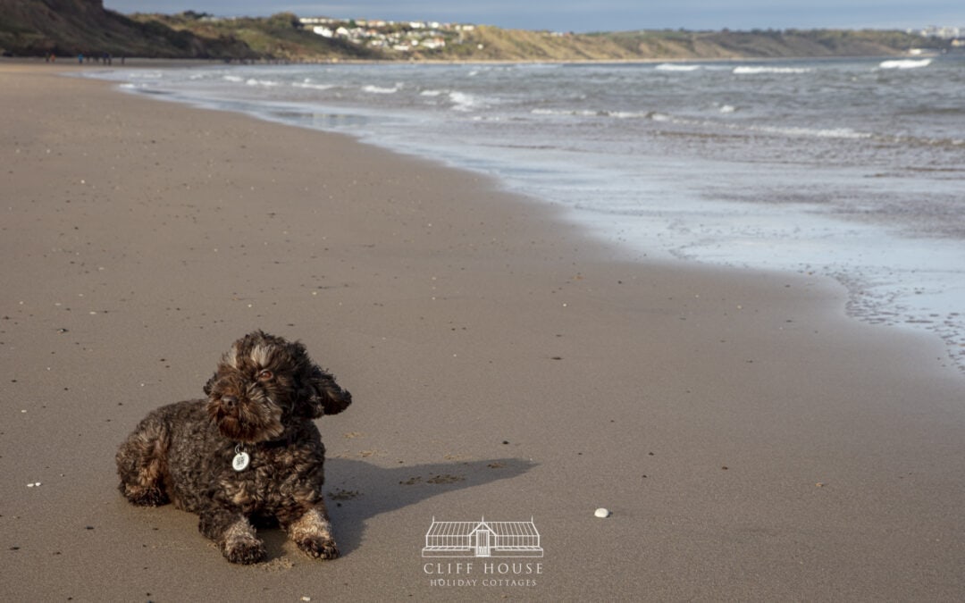 A Week at Cliff House Holiday Cottages: Your 7-Day Itinerary in North Yorkshire