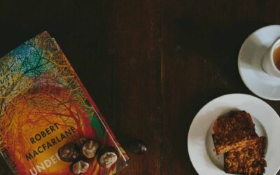 📚 Book Nook at Cliff House: Underground Stories and Autumn Light