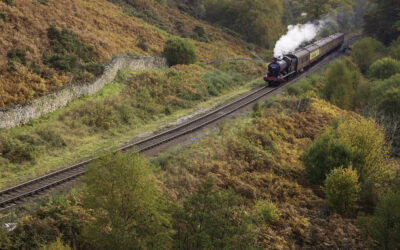 Autumn Colours and Waterfalls: A Day Out in Goathland from Cliff House